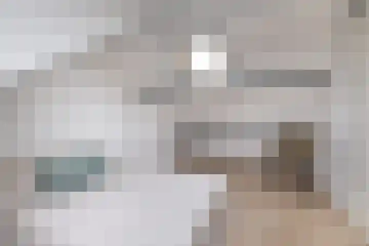 Zilverschoon 14 Sneek thumbnail 39