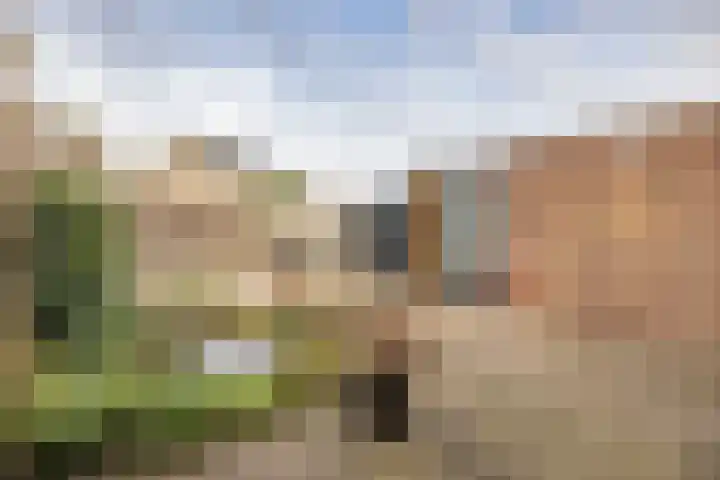 Zilverschoon 14 Sneek thumbnail 42