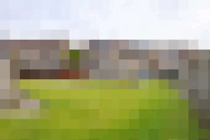 Zilverschoon 14 Sneek thumbnail 47