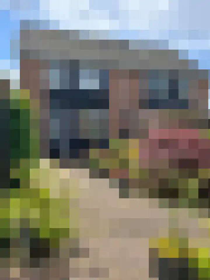 Zilverschoon 14 Sneek thumbnail 48