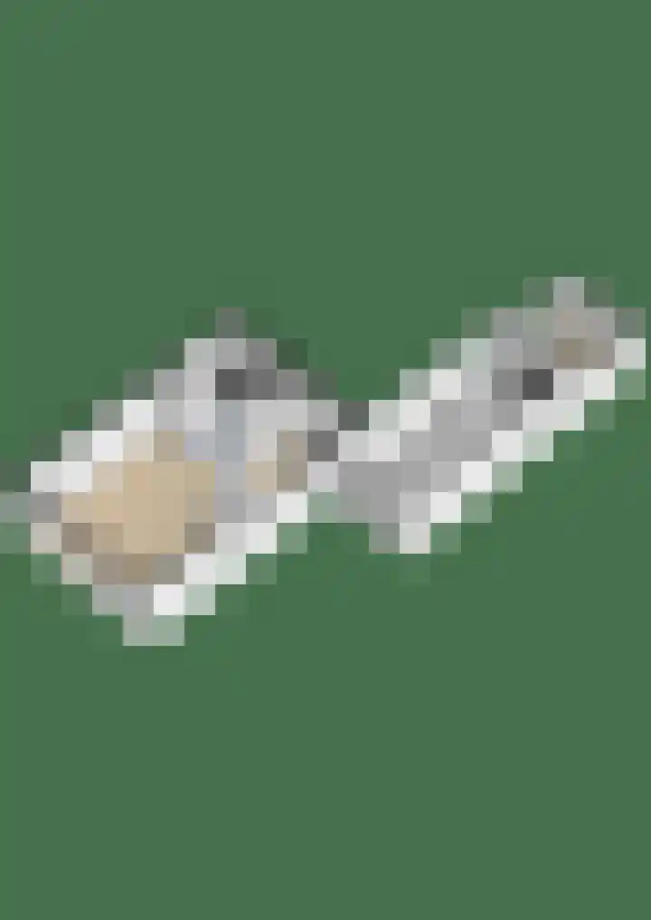Zilverschoon 14 Sneek thumbnail 51