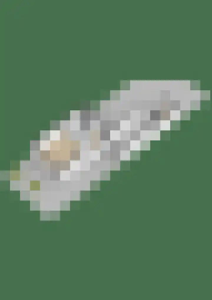Zilverschoon 14 Sneek thumbnail 57