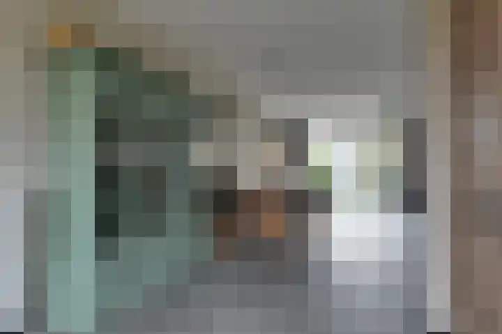 Zilverschoon 14 Waddinxveen thumbnail 14