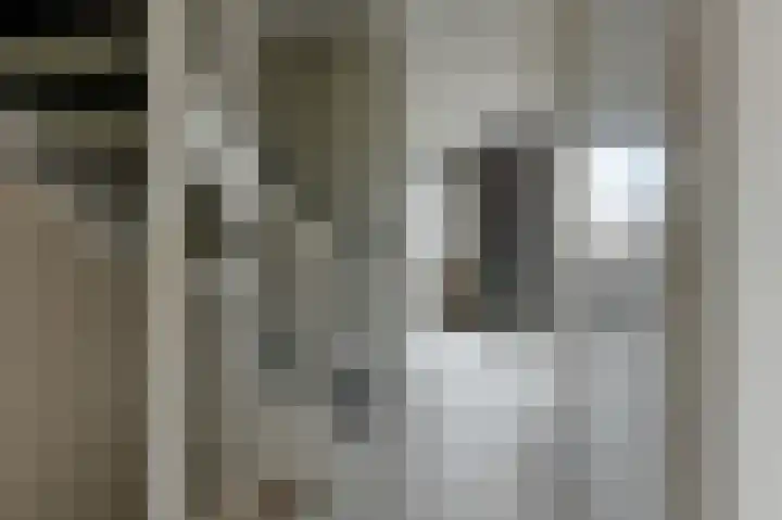 Zilverschoon 14 Waddinxveen thumbnail 17