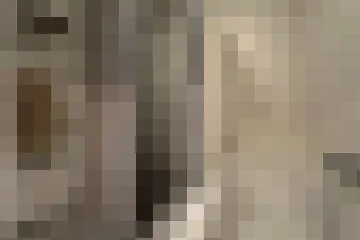 Zilverschoon 14 Waddinxveen thumbnail 22