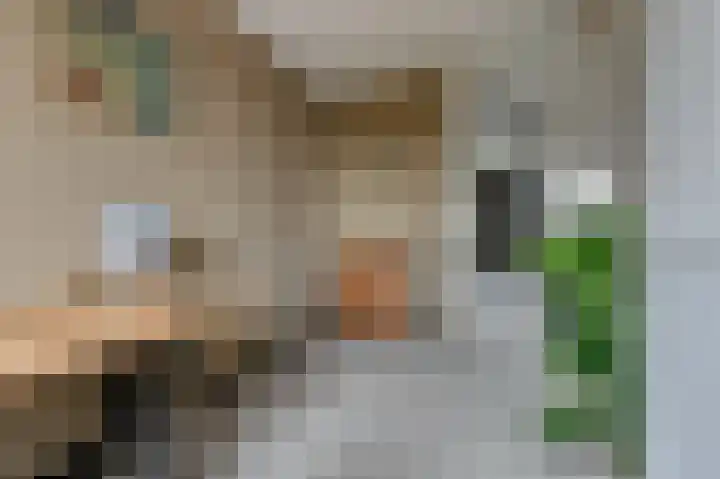 Zilverschoon 14 Waddinxveen thumbnail 23