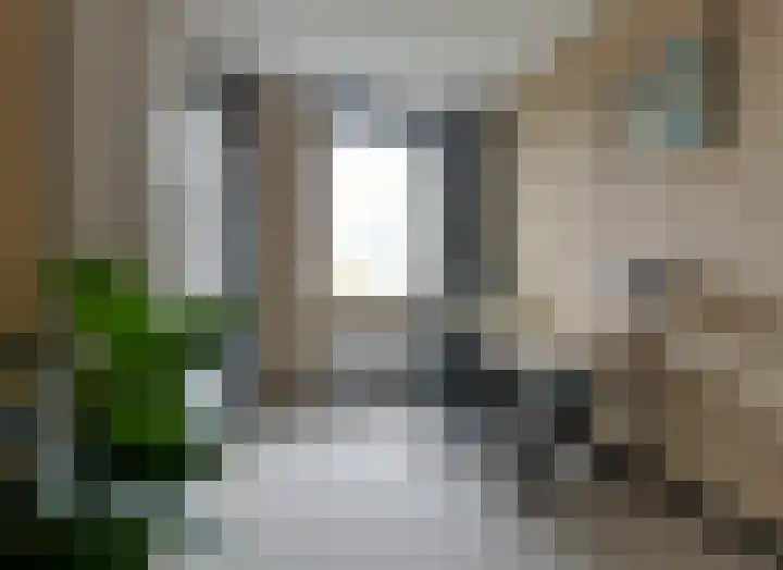 Zilverschoon 14 Waddinxveen thumbnail 24