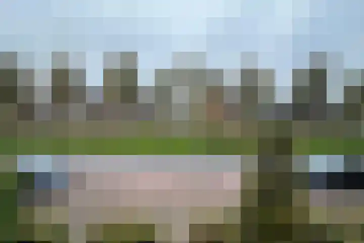 Zilverschoon 14 Waddinxveen thumbnail 31