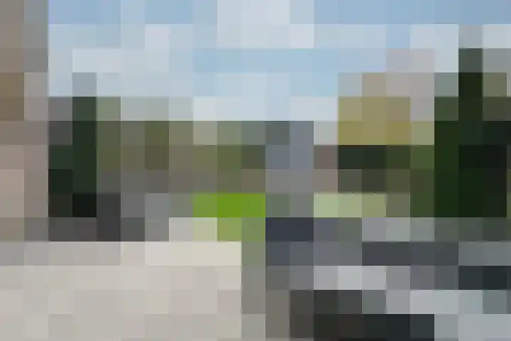 Zilverschoon 14 Waddinxveen thumbnail 35