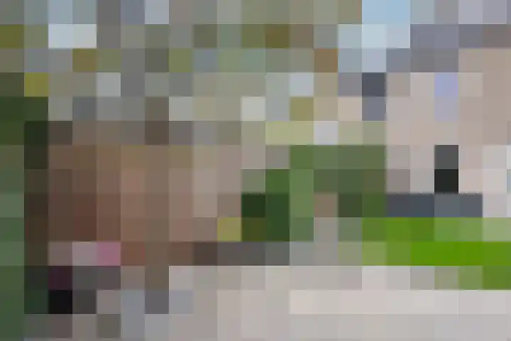 Zilverschoon 14 Waddinxveen thumbnail 38