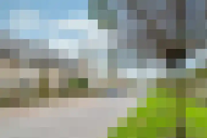 Zilverschoon 14 Waddinxveen thumbnail 40