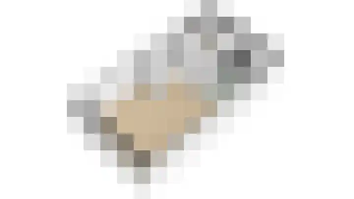 Zilverschoon 14 Waddinxveen thumbnail 43