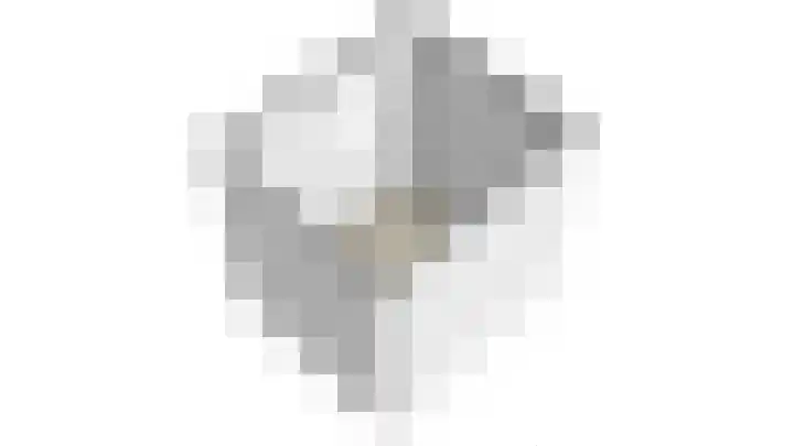 Zilverschoon 14 Waddinxveen thumbnail 49