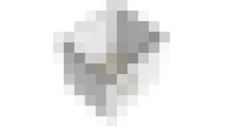 Zilverschoon 14 Waddinxveen thumbnail 50