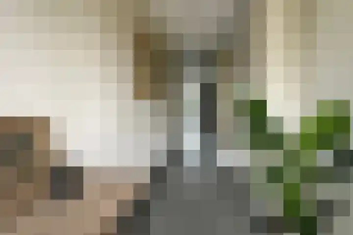 Zilverschoon 14 Waddinxveen thumbnail 7