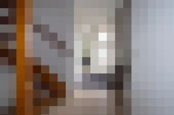 Zilverschoon 16 Eelde thumbnail 10