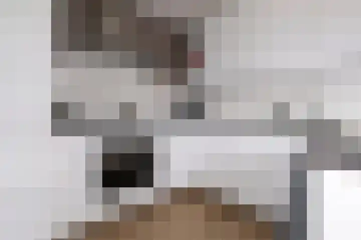 Zilverschoon 16 Eelde thumbnail 25