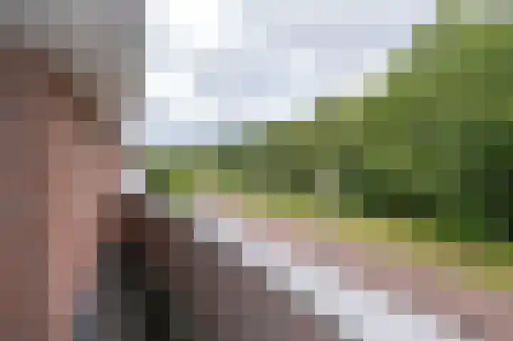 Zilverschoon 16 Eelde thumbnail 37