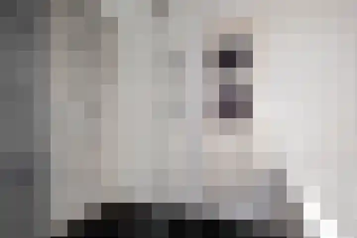Zilverschoon 16 Eelde thumbnail 40