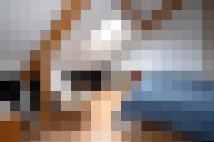 Zilverschoon 16 Eelde thumbnail 44