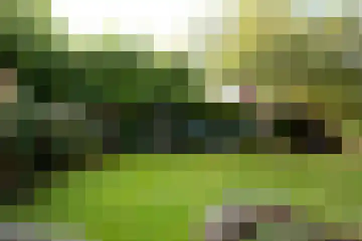 Zilverschoon 16 Eelde thumbnail 47