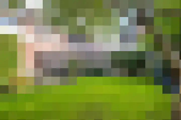 Zilverschoon 16 Eelde thumbnail 49