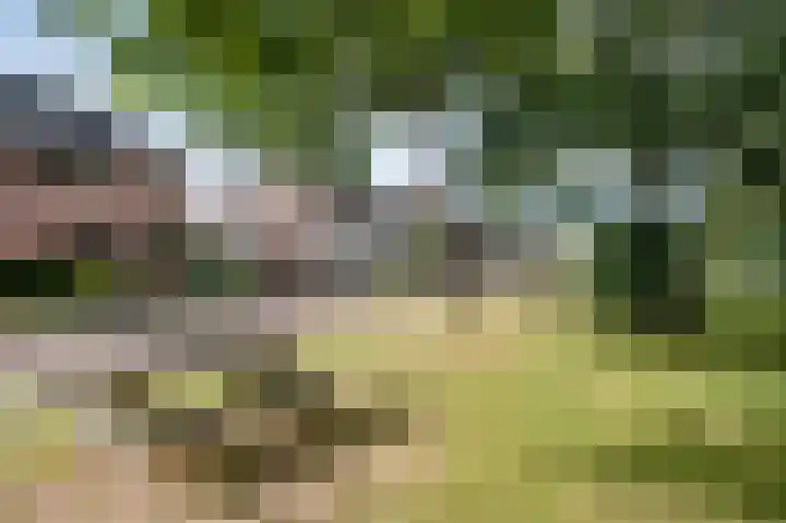 Zilverschoon 16 Eelde thumbnail 5