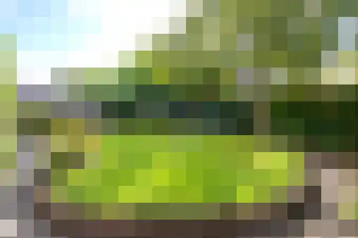 Zilverschoon 16 Eelde thumbnail 50