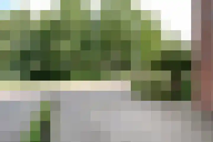Zilverschoon 16 Eelde thumbnail 9