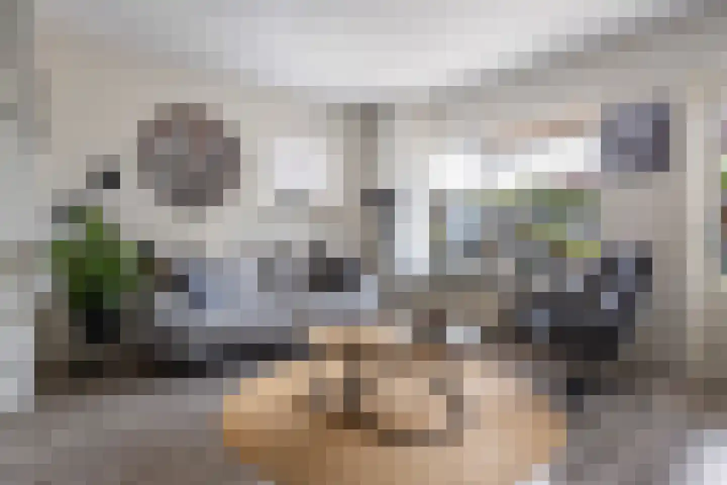 Zilverschoon 17 Sneek thumbnail 13