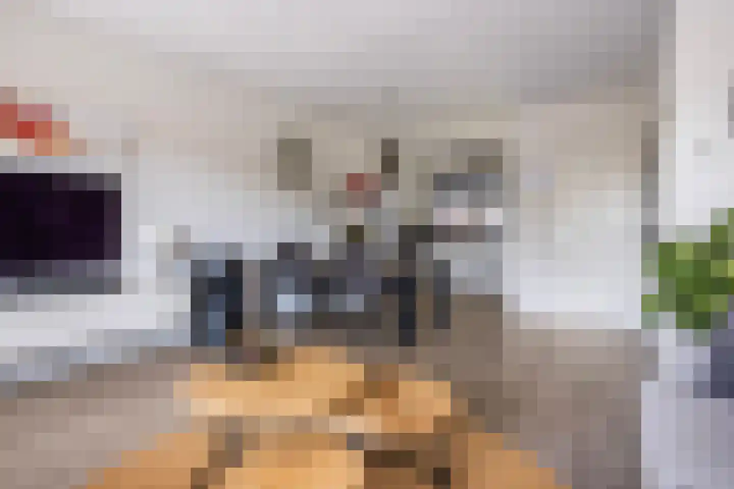 Zilverschoon 17 Sneek thumbnail 14