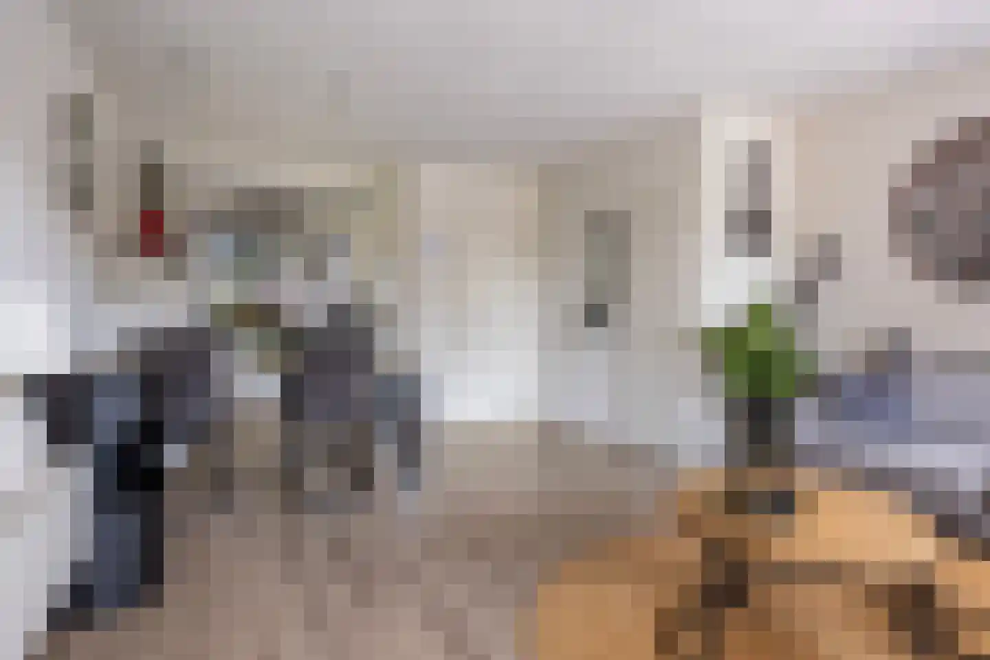 Zilverschoon 17 Sneek thumbnail 15