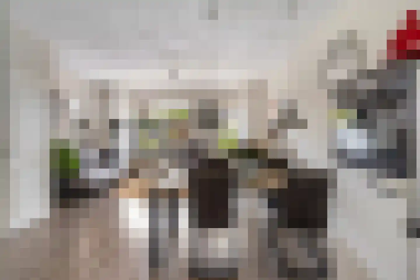 Zilverschoon 17 Sneek thumbnail 16