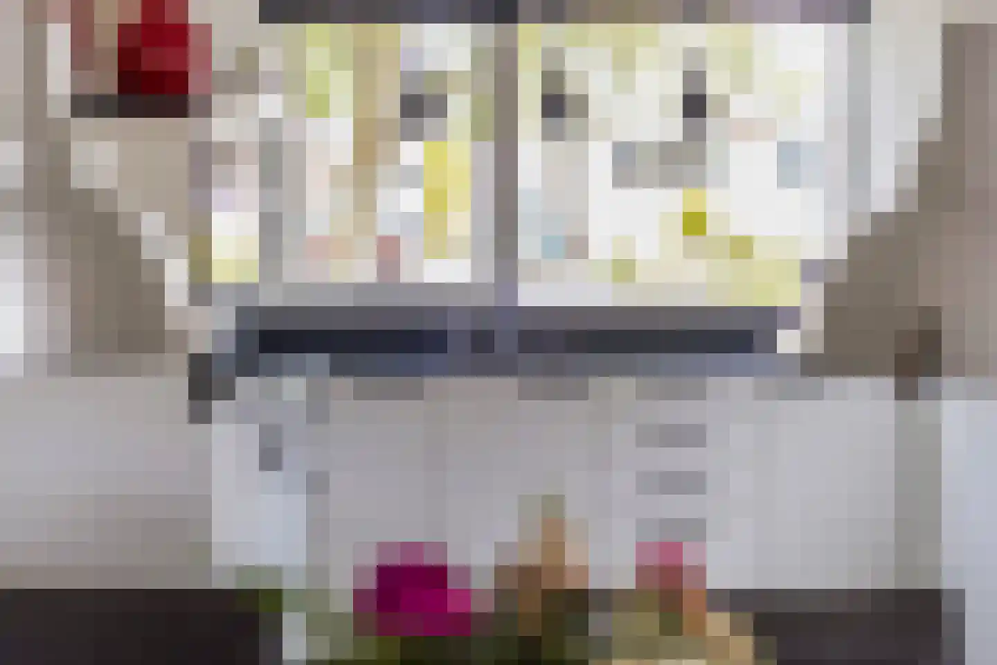 Zilverschoon 17 Sneek thumbnail 17