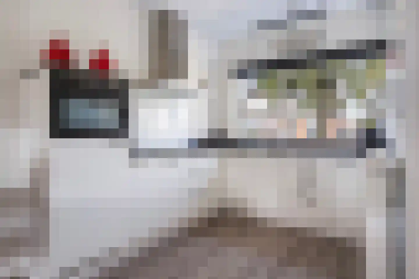 Zilverschoon 17 Sneek thumbnail 18
