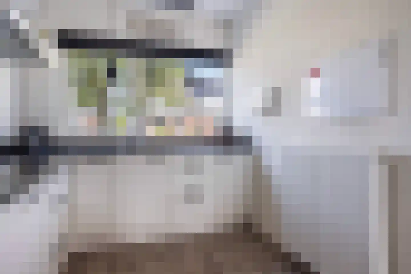 Zilverschoon 17 Sneek thumbnail 21