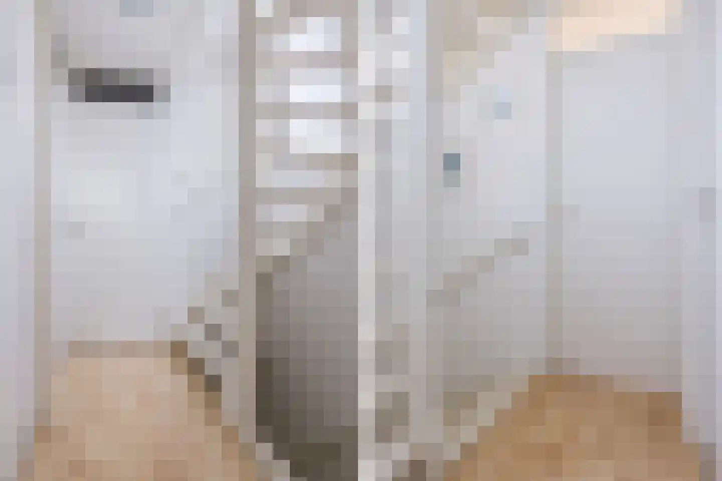 Zilverschoon 17 Sneek thumbnail 22
