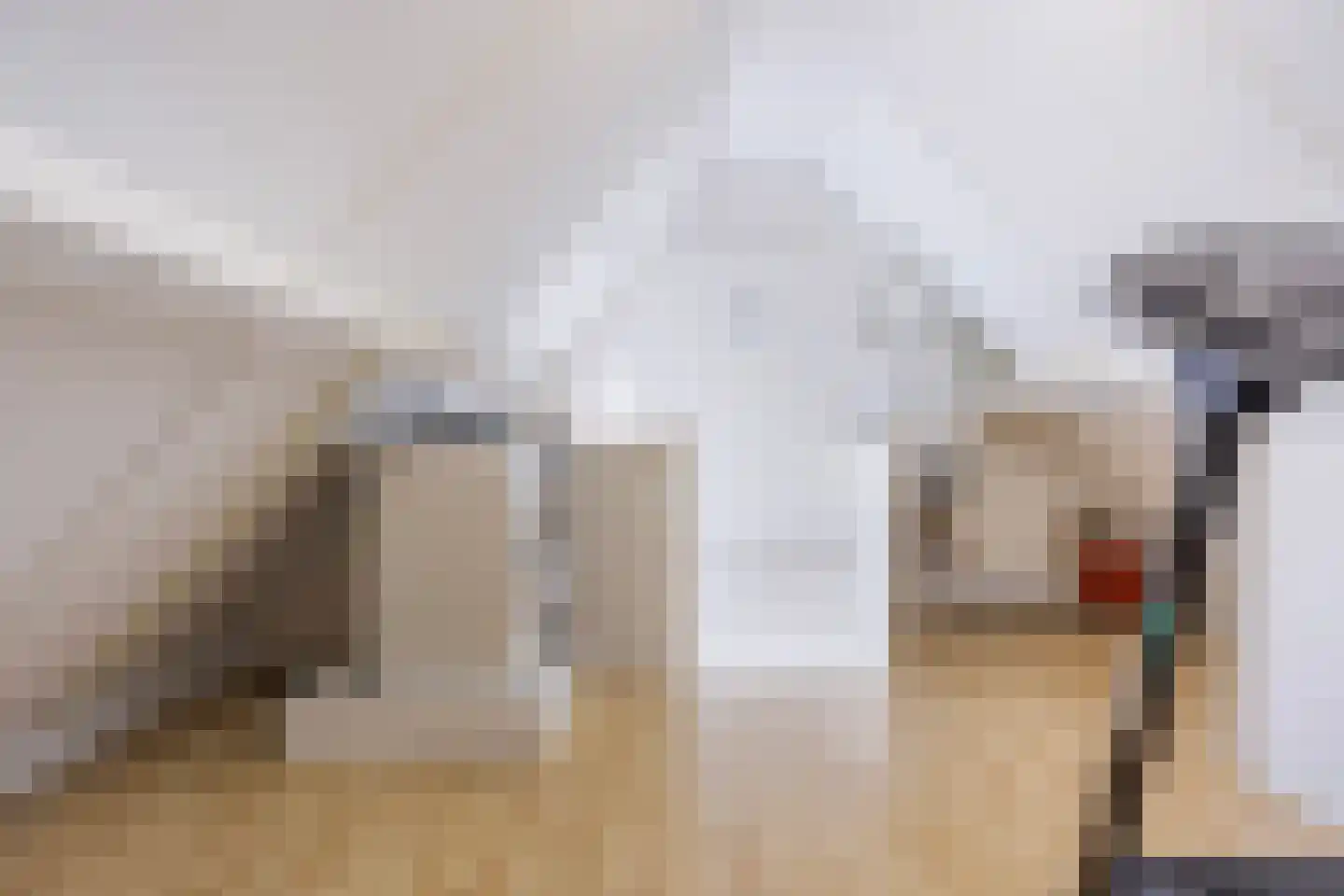 Zilverschoon 17 Sneek thumbnail 33