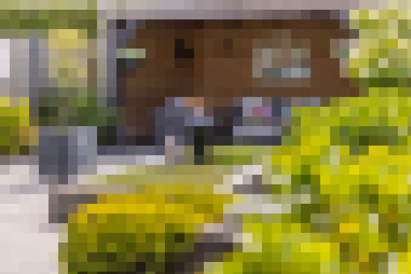 Zilverschoon 17 Sneek thumbnail 38