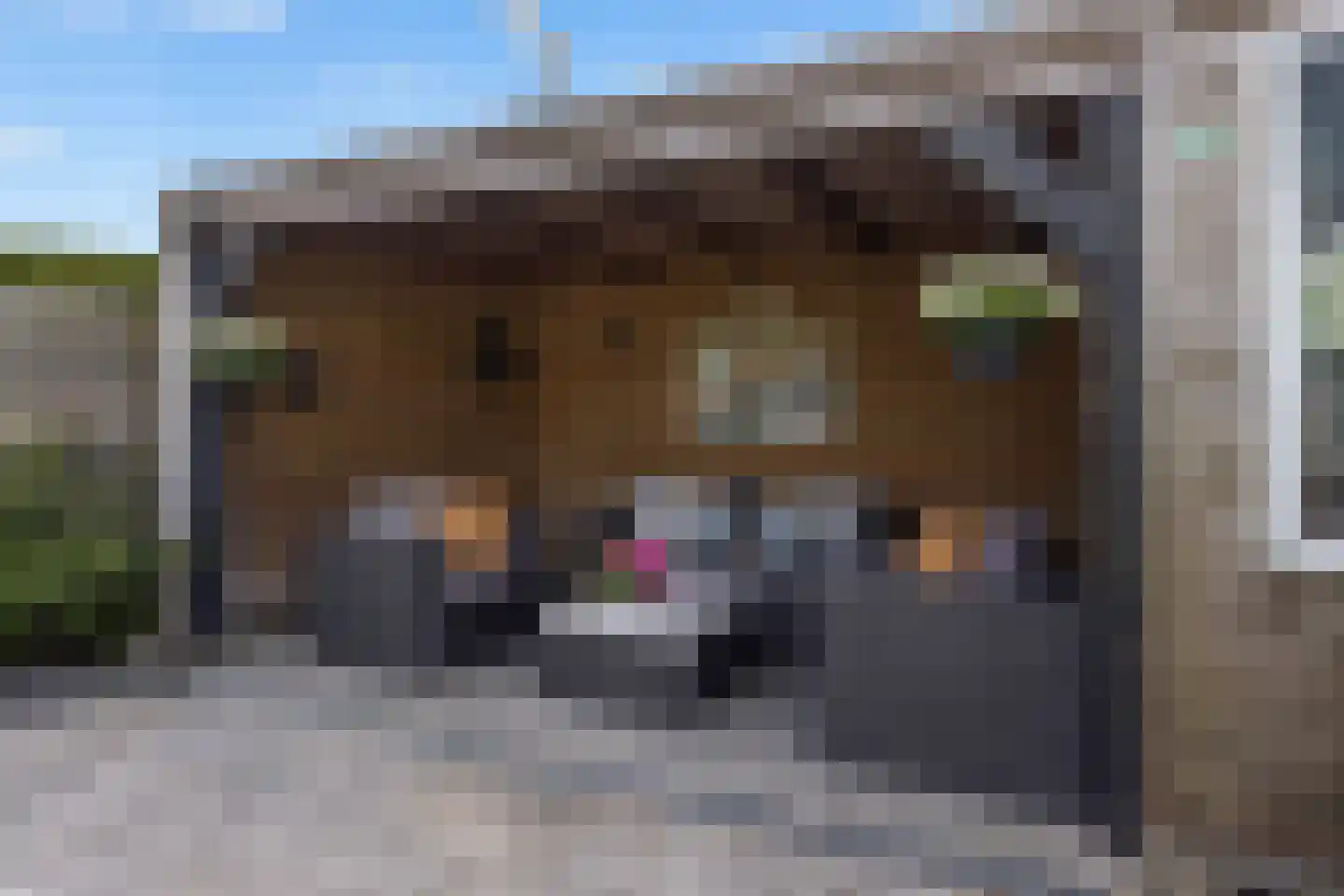Zilverschoon 17 Sneek thumbnail 41