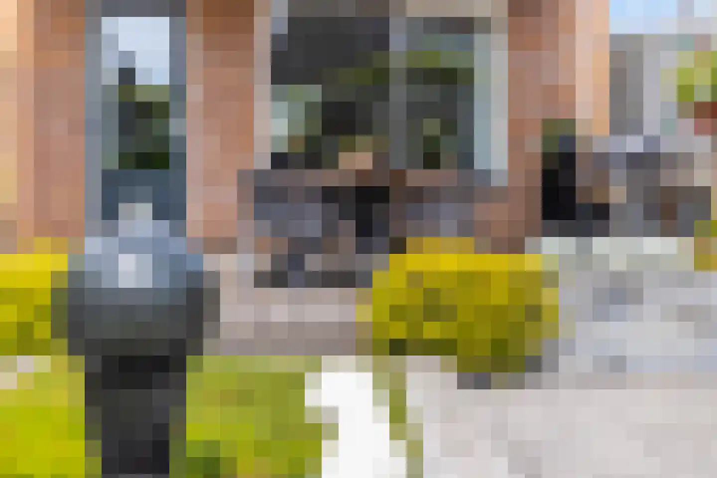 Zilverschoon 17 Sneek thumbnail 48
