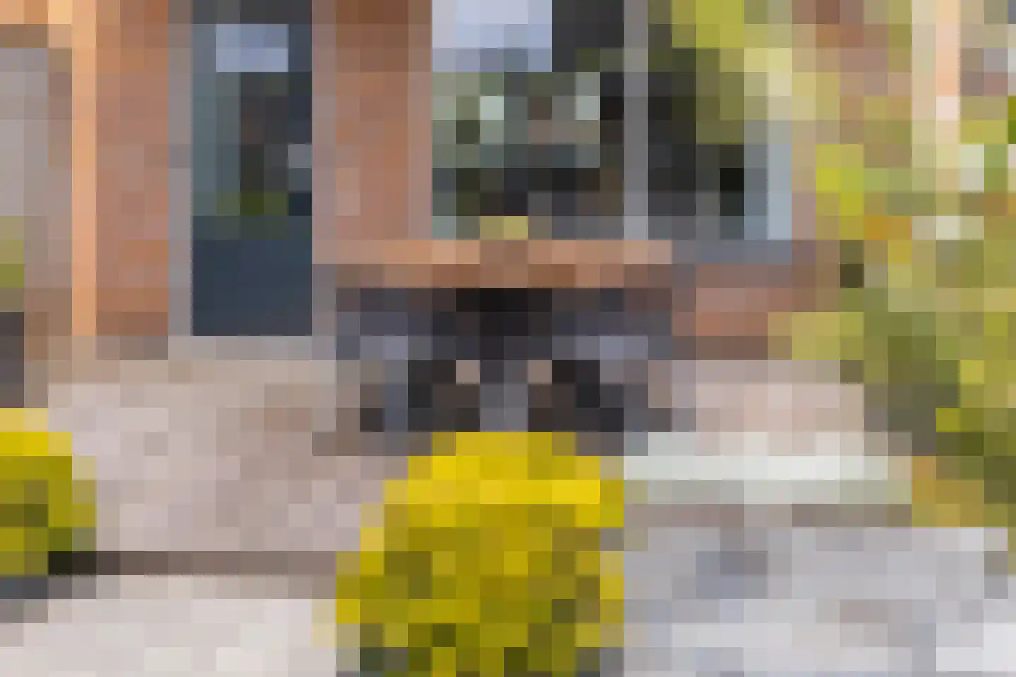 Zilverschoon 17 Sneek thumbnail 49