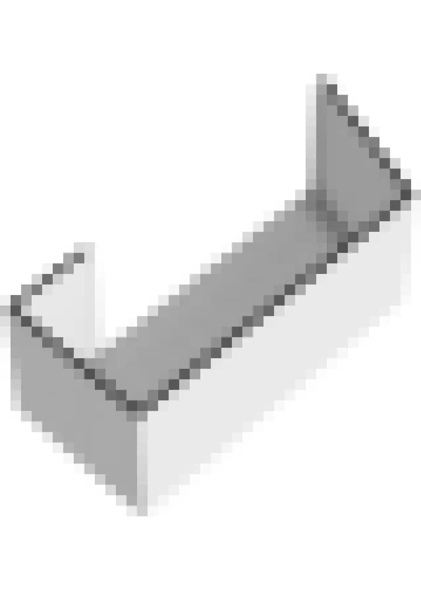 Zilverschoon 17 Sneek thumbnail 61