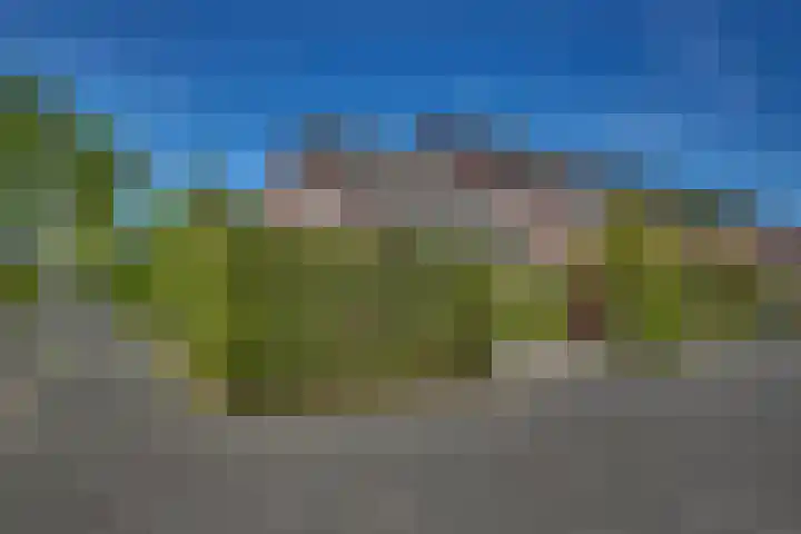 Zilverschoon 18 Kampen thumbnail 15