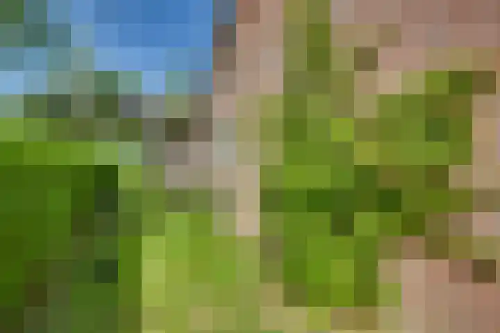 Zilverschoon 18 Kampen thumbnail 18