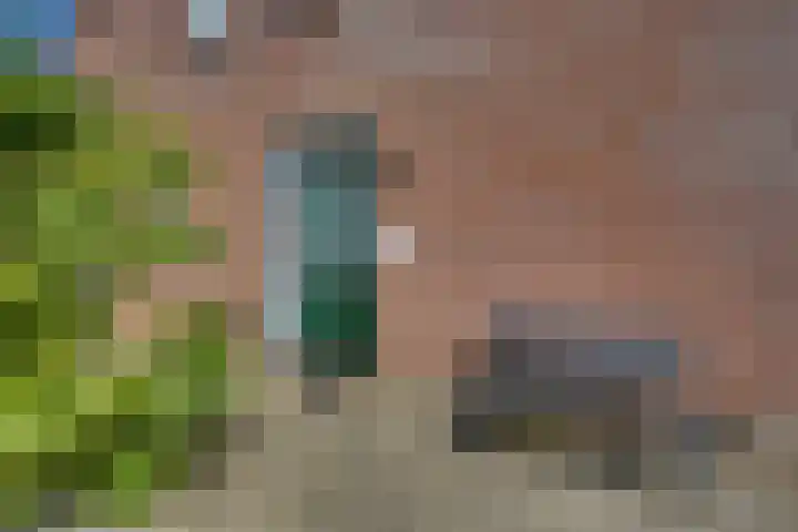 Zilverschoon 18 Kampen thumbnail 19