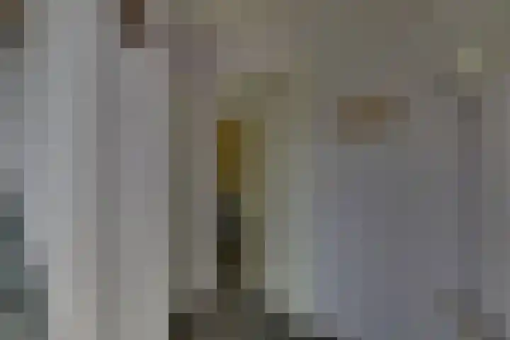 Zilverschoon 18 Kampen thumbnail 20
