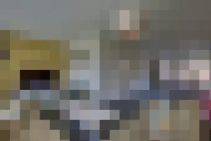 Zilverschoon 18 Kampen thumbnail 23