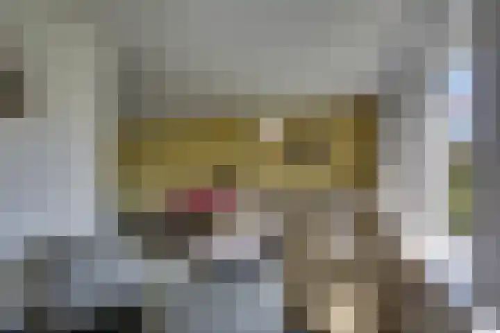 Zilverschoon 18 Kampen thumbnail 24
