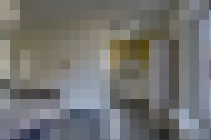 Zilverschoon 18 Kampen thumbnail 26